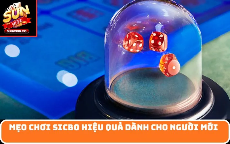 Mẹo chơi Sicbo hiệu quả dành cho người mới